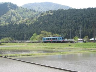 IMG_6553