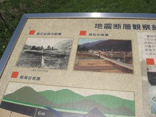 IMG_6556