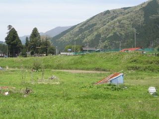 IMG_6557