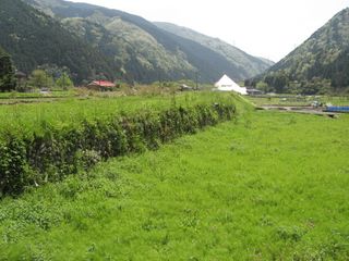 IMG_6518