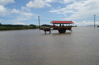 Dsc00770