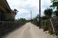 Dsc00788