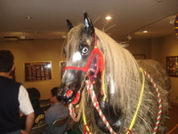 Dsc00518 Dsc00518