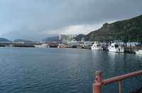 Dsc01394