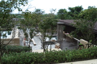 Dsc01584