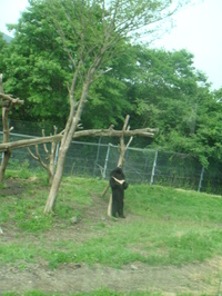 Kilyouto_006_2